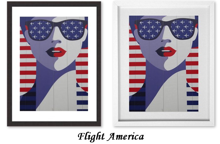 Flight America